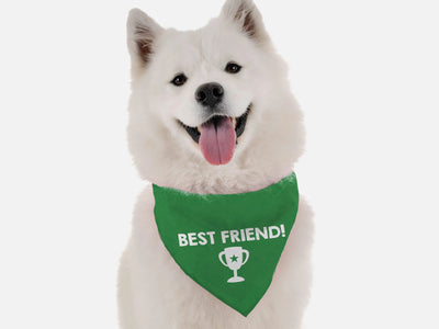 Best Friend - Your Pet Connection