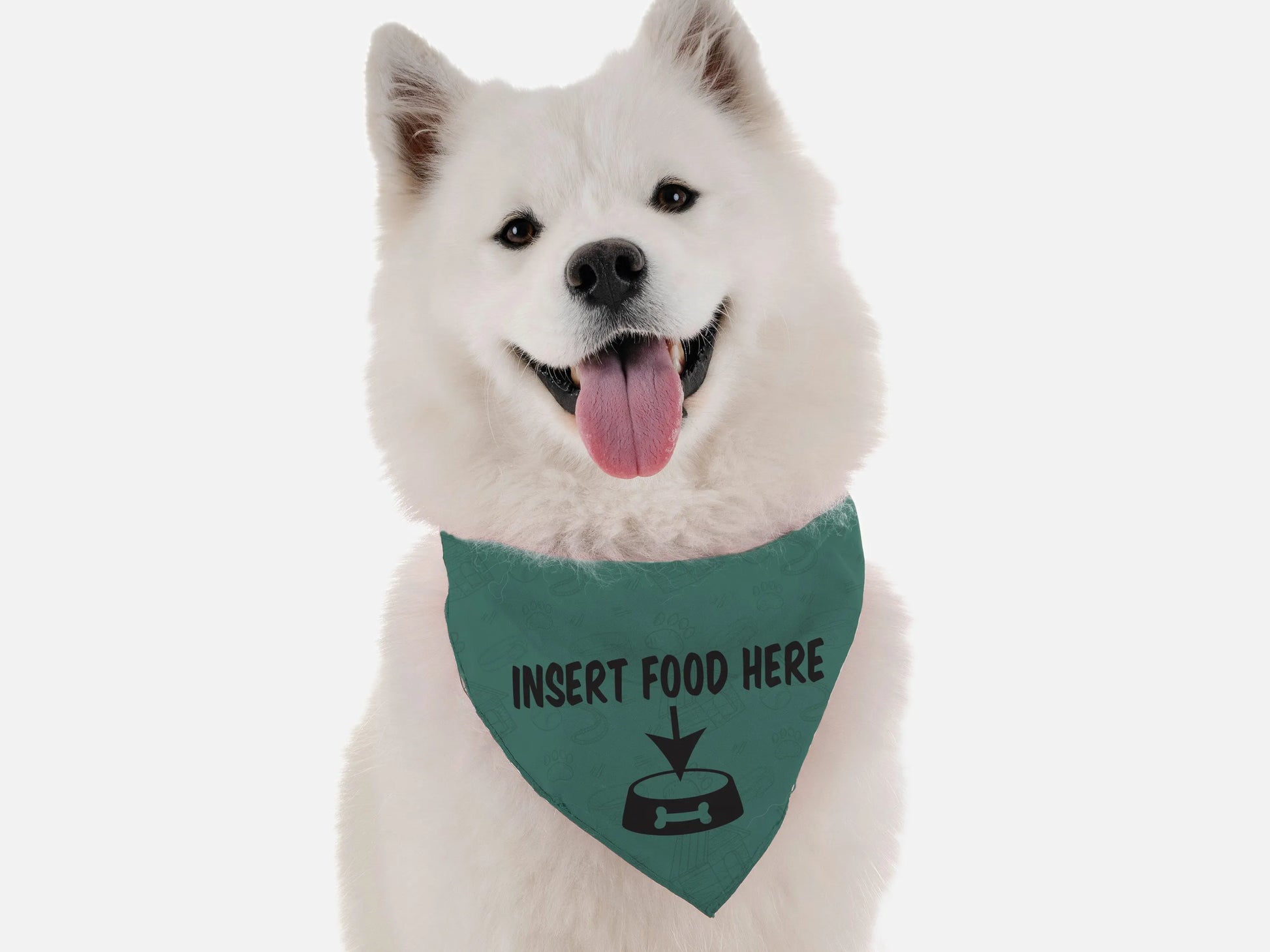Insert Food Here - Your Pet Connection