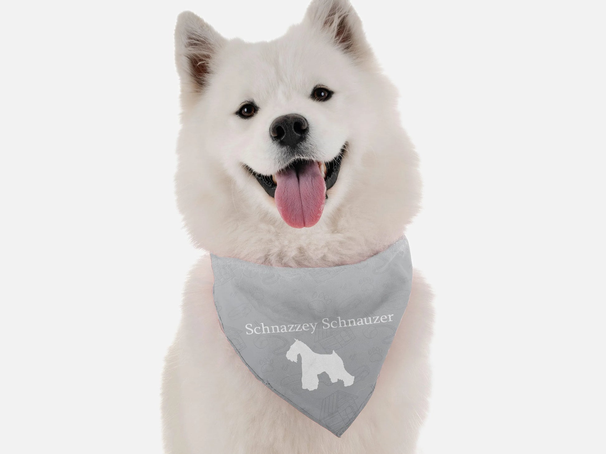 Schnazzey Schnauzer - Your Pet Connection