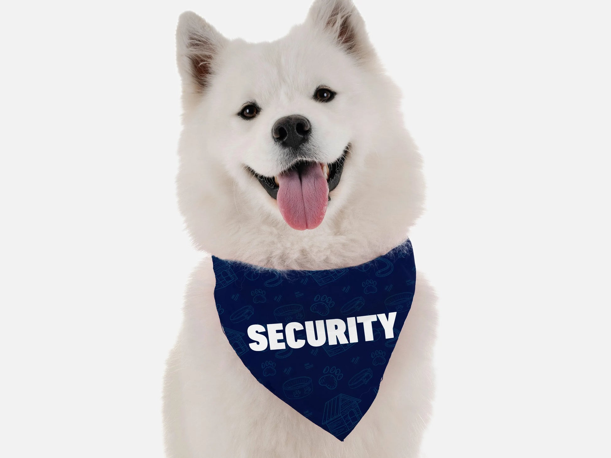 Security - Your Pet Connection