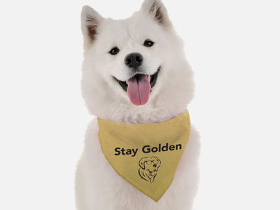 Bandoggies Chic Polyester Dog Bandanas Small