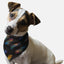 Bandoggies Chic Dog Bandana 30 Inches