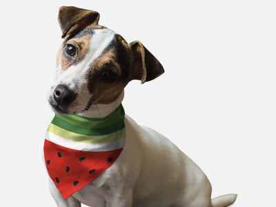 Bandoggies Chic Summer Dog Bandanas