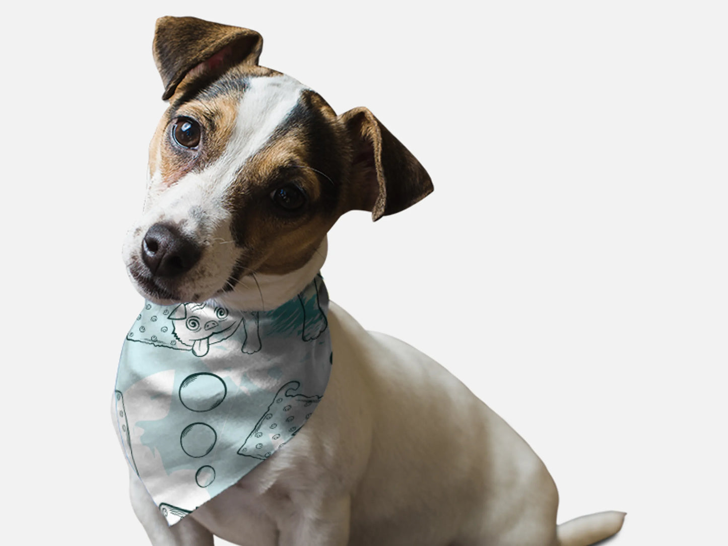 Tasty Treats - Your Pet Connection