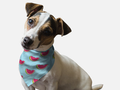 Bandoggies Colorful Adjustable Summer Dog Bandanas