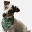 Hunter Green Paisley - Your Pet Connection