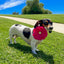 FL2002 | Daisy Flower Dog/ Cat Bow on Velcro Collar Attachment|Pets Ribbons - Your Pet Connection