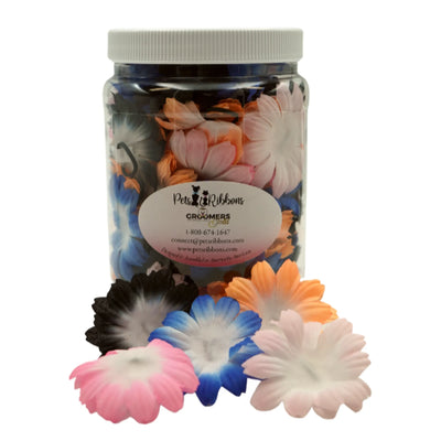 Pets Ribbons Elegant Two-Tone Pastel Flower Bands Large