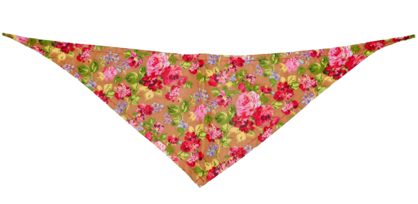 GG129FB Sand|Pets Ribbons - Your Pet Connection