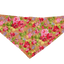 GG129FB Sand|Pets Ribbons - Your Pet Connection
