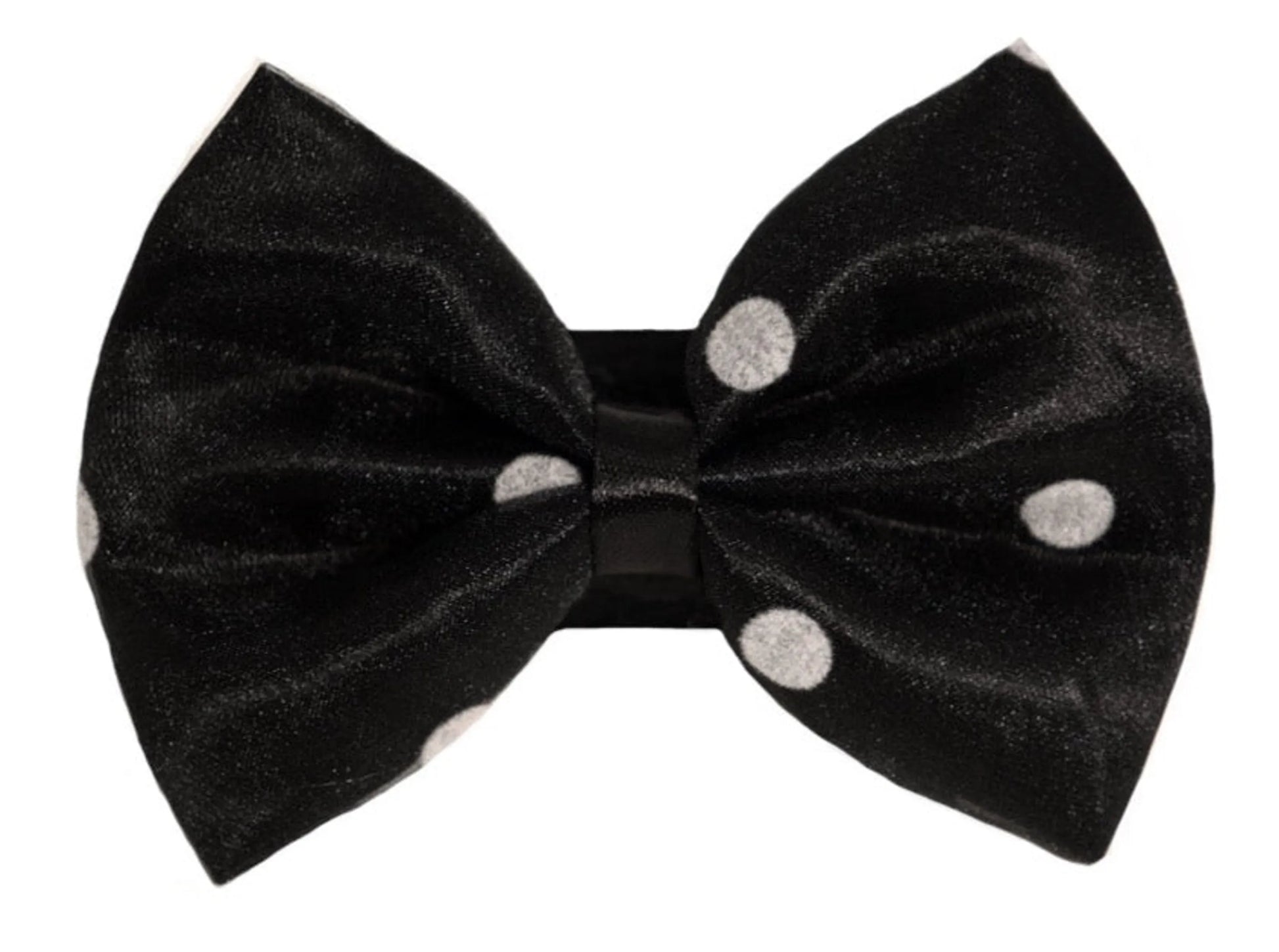 PR1001|Pets Ribbons - Your Pet Connection