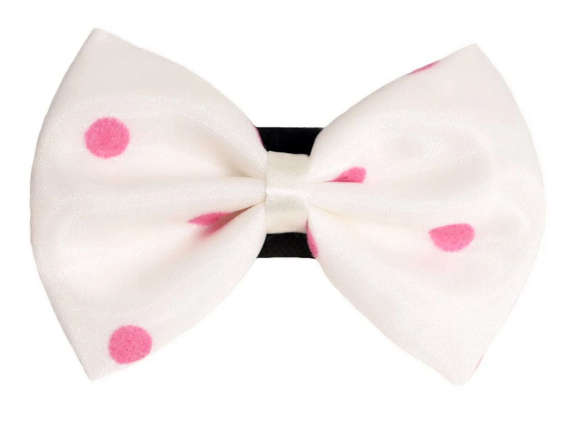 PR1001|Pets Ribbons - Your Pet Connection