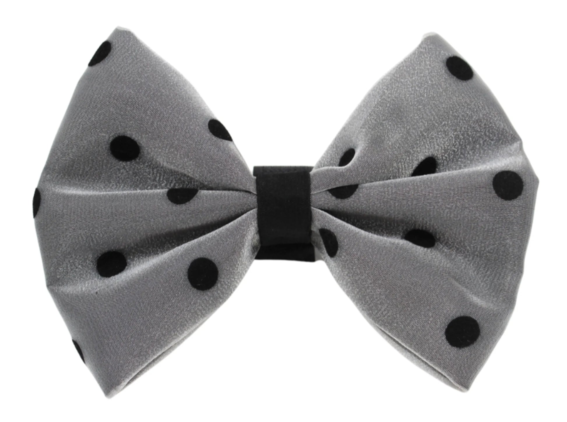 PR1001|Pets Ribbons - Your Pet Connection