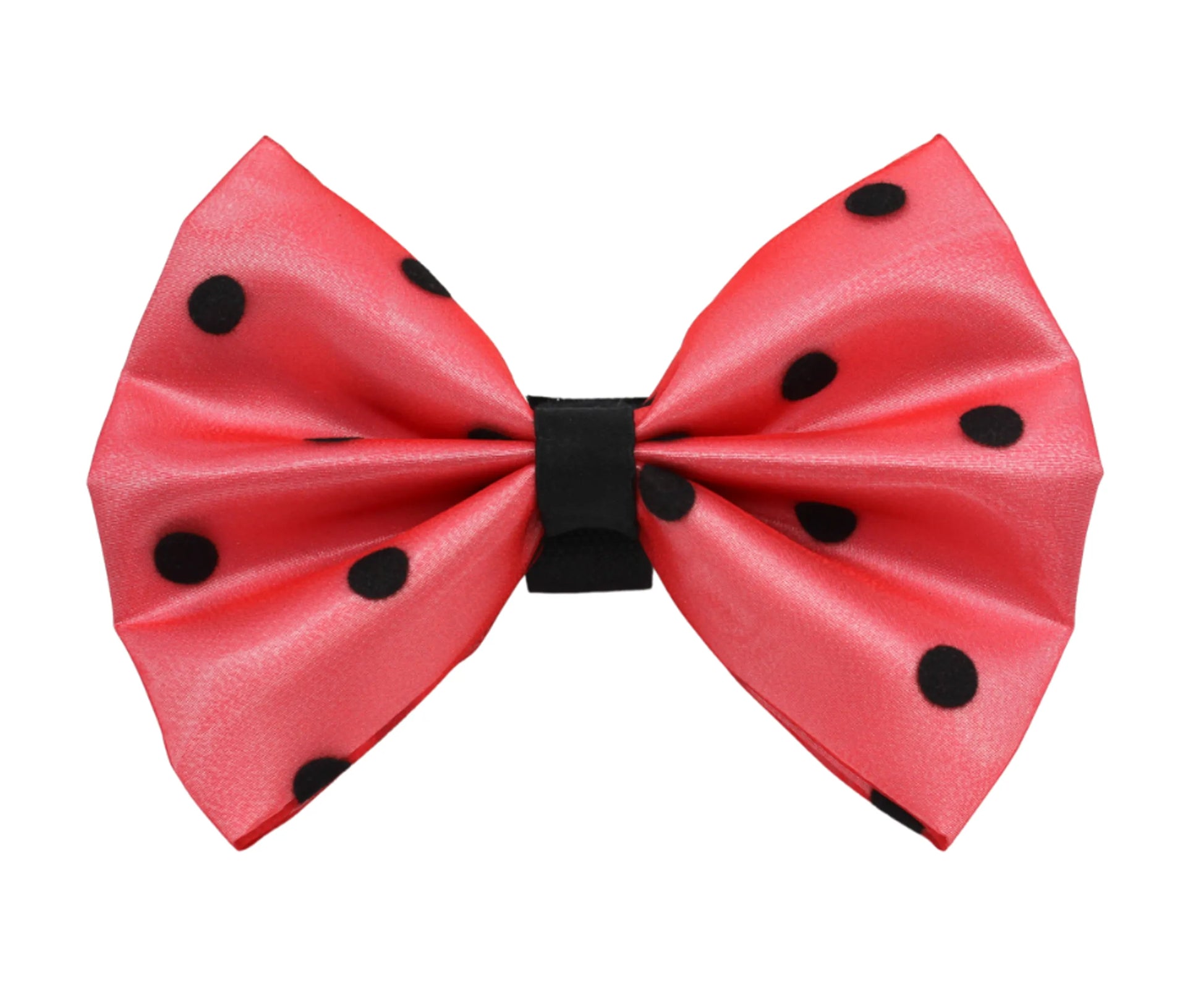 PR1001|Pets Ribbons - Your Pet Connection