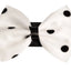 PR1001|Pets Ribbons - Your Pet Connection