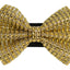 PR2000|Pets Ribbons - Your Pet Connection