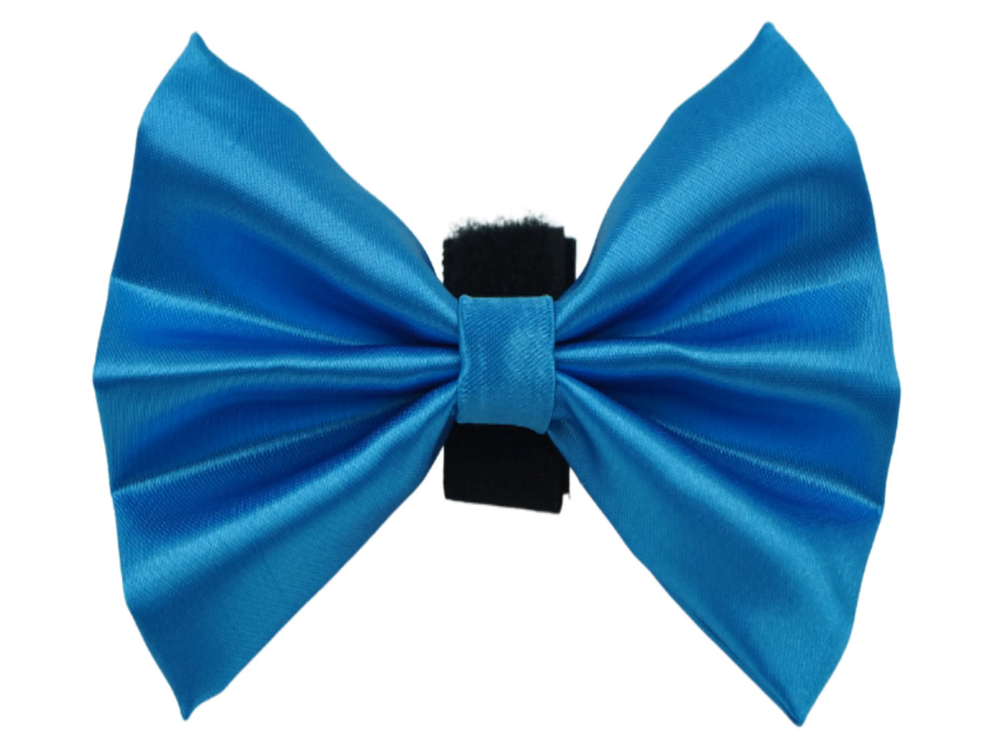 PR3000|Pets Ribbons - Your Pet Connection