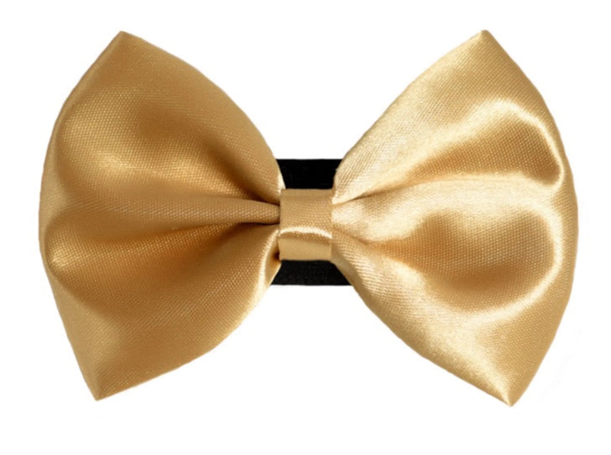 PR3000|Pets Ribbons - Your Pet Connection