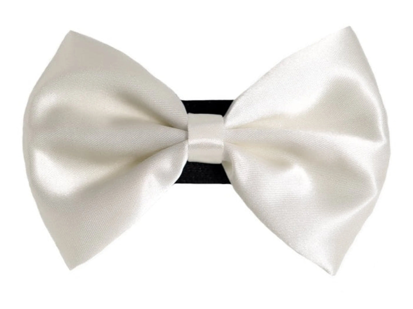 PR3000|Pets Ribbons - Your Pet Connection