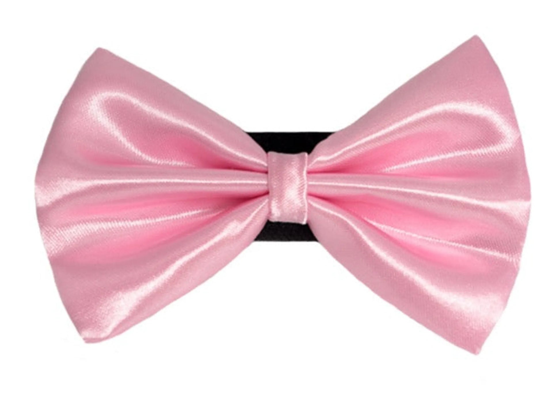 PR3000|Pets Ribbons - Your Pet Connection