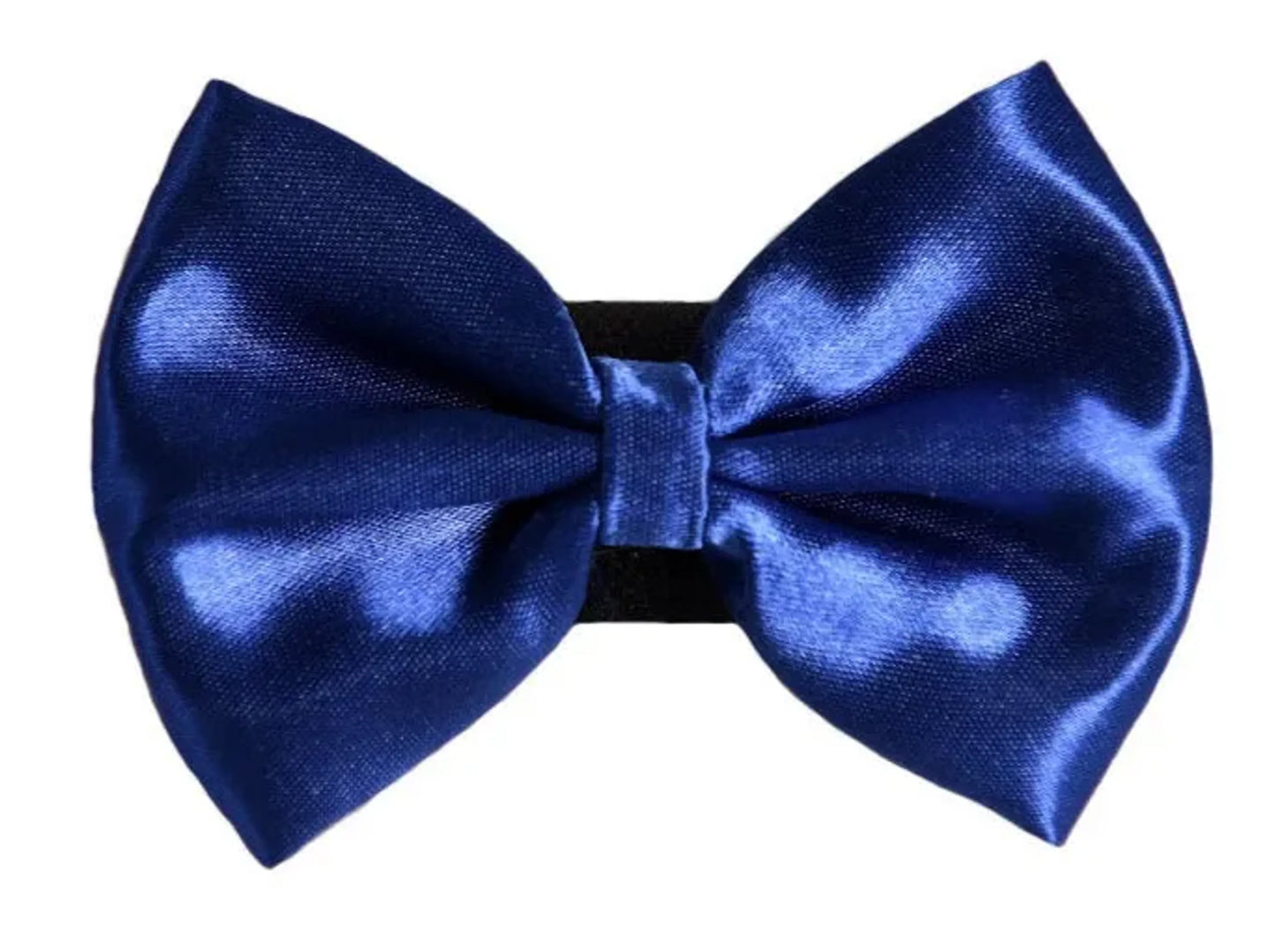 PR3000|Pets Ribbons - Your Pet Connection