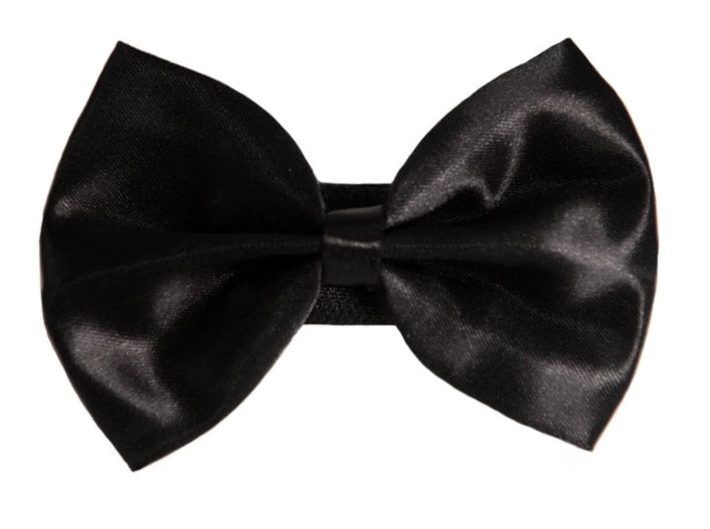 PR3000|Pets Ribbons - Your Pet Connection