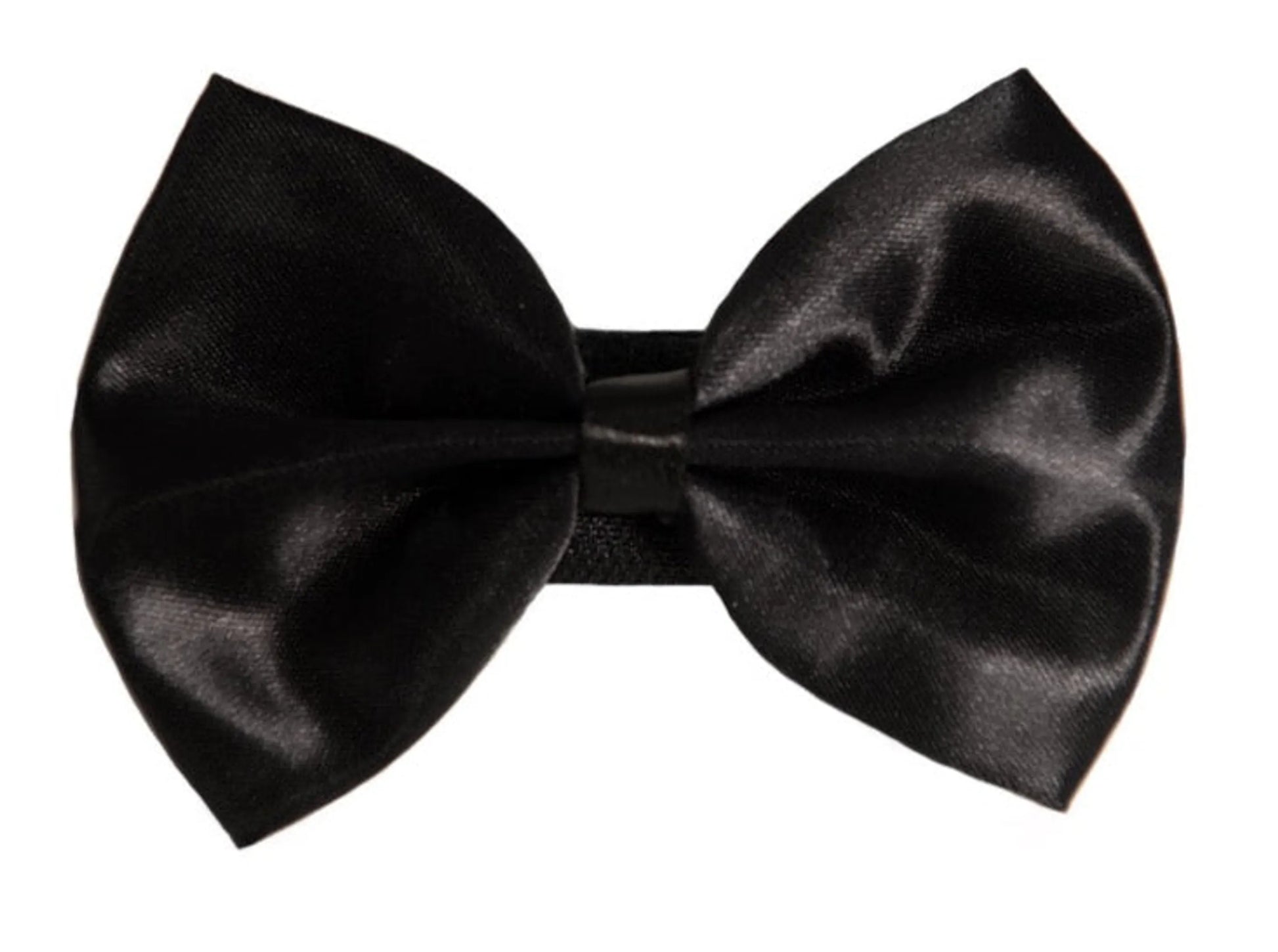 PR3000|Pets Ribbons - Your Pet Connection