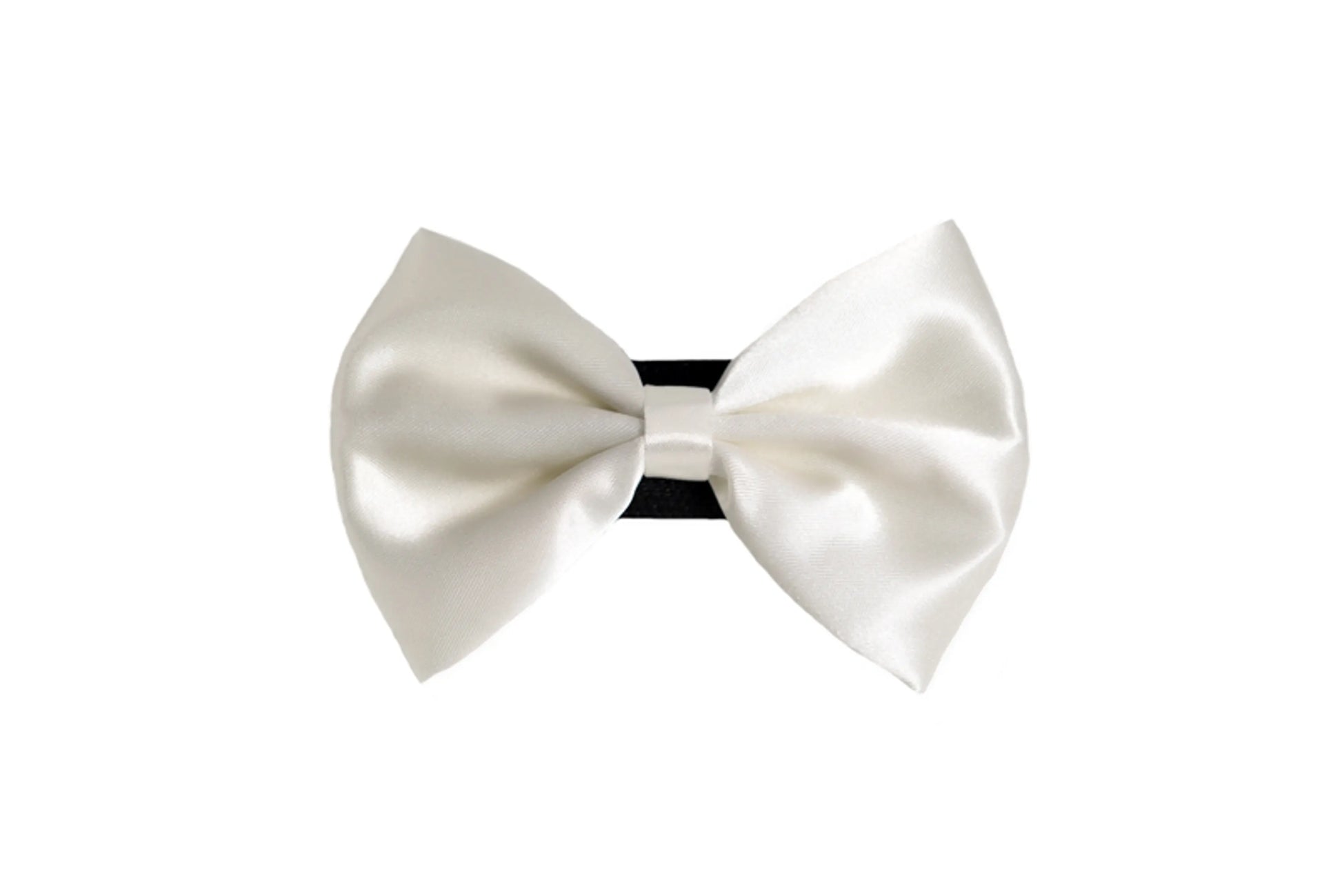 PR3000|Pets Ribbons - Your Pet Connection