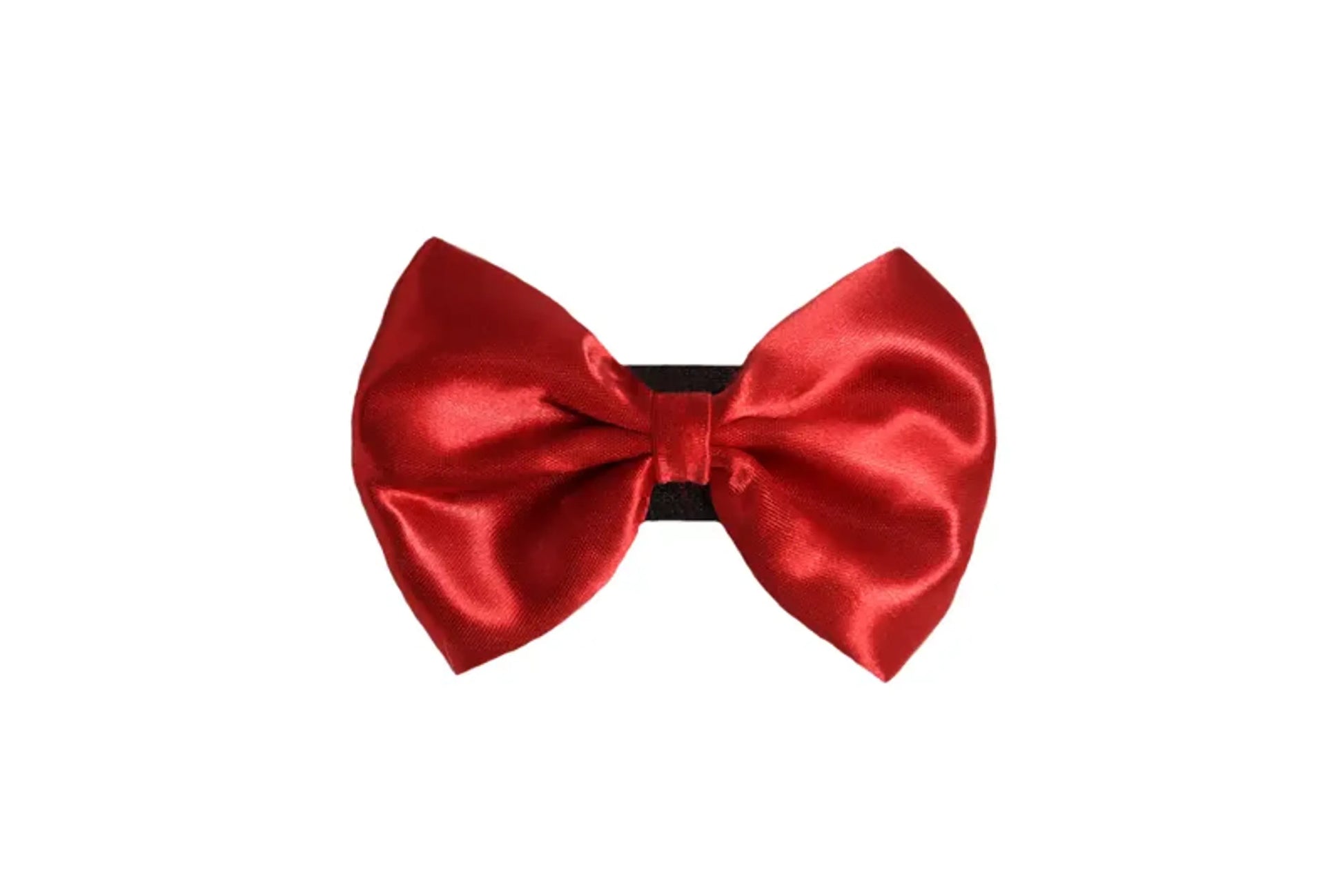 PR3000|Pets Ribbons - Your Pet Connection