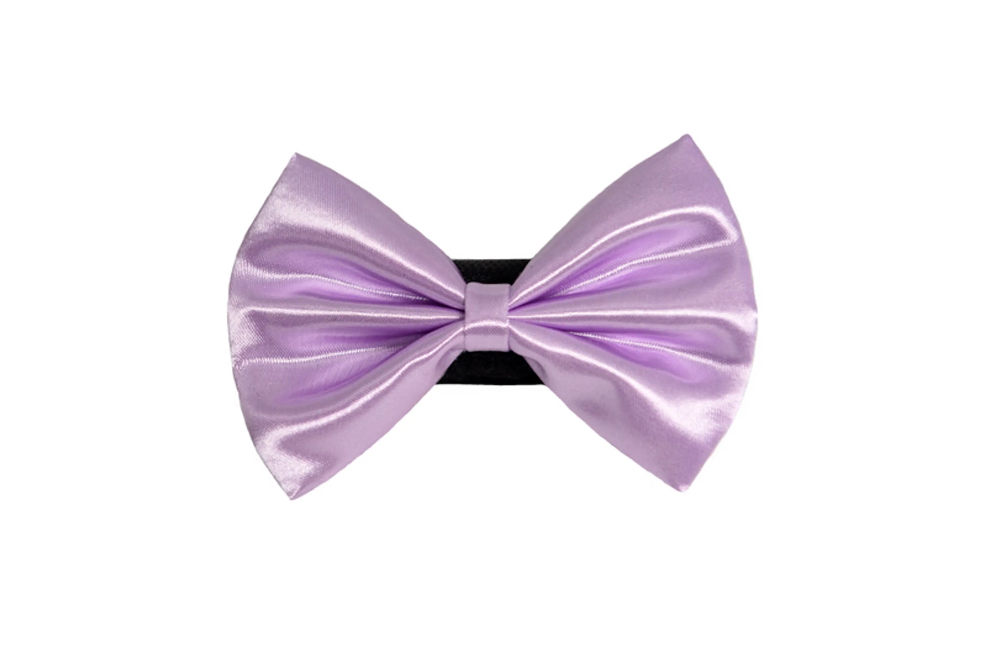 PR3000|Pets Ribbons - Your Pet Connection