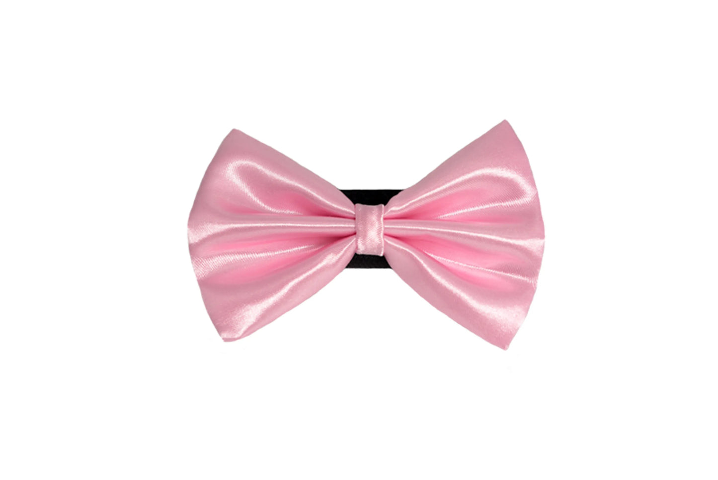 PR3000|Pets Ribbons - Your Pet Connection