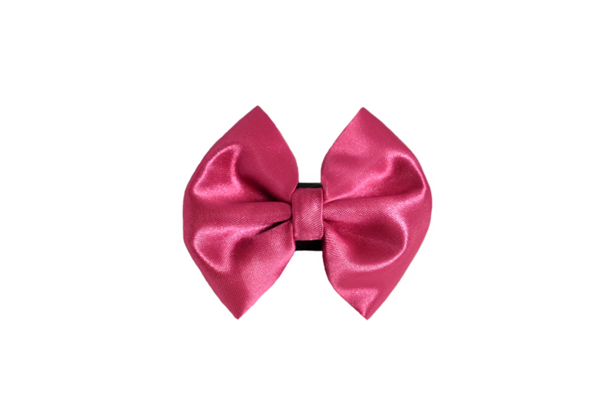 PR3000|Pets Ribbons - Your Pet Connection