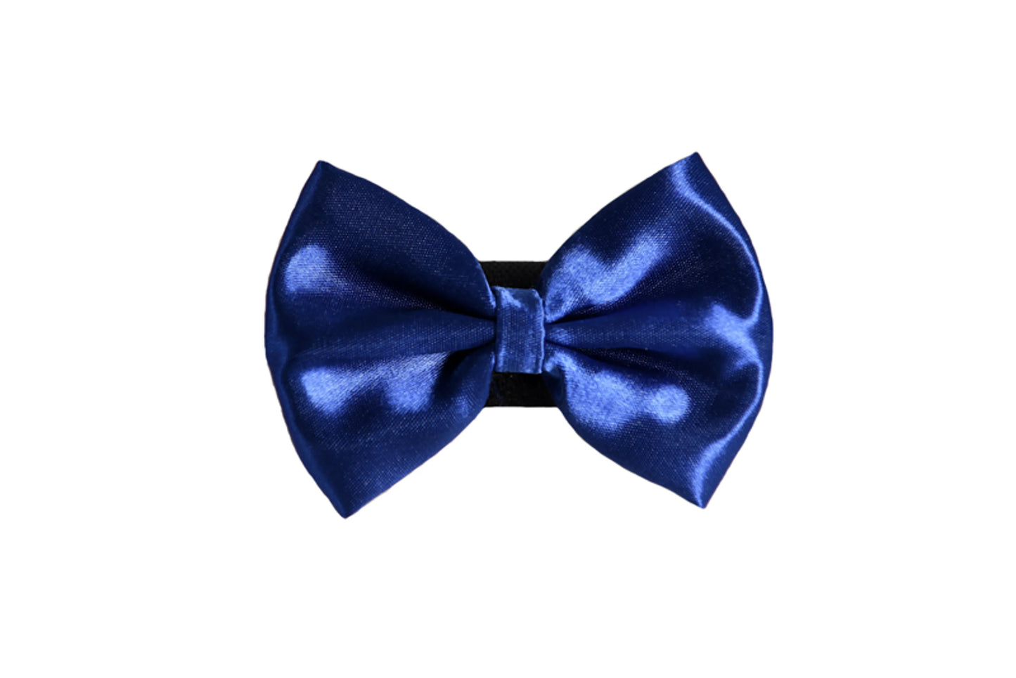 PR3000|Pets Ribbons - Your Pet Connection