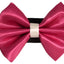 PR3001|Pets Ribbons - Your Pet Connection