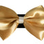 PR3001|Pets Ribbons - Your Pet Connection