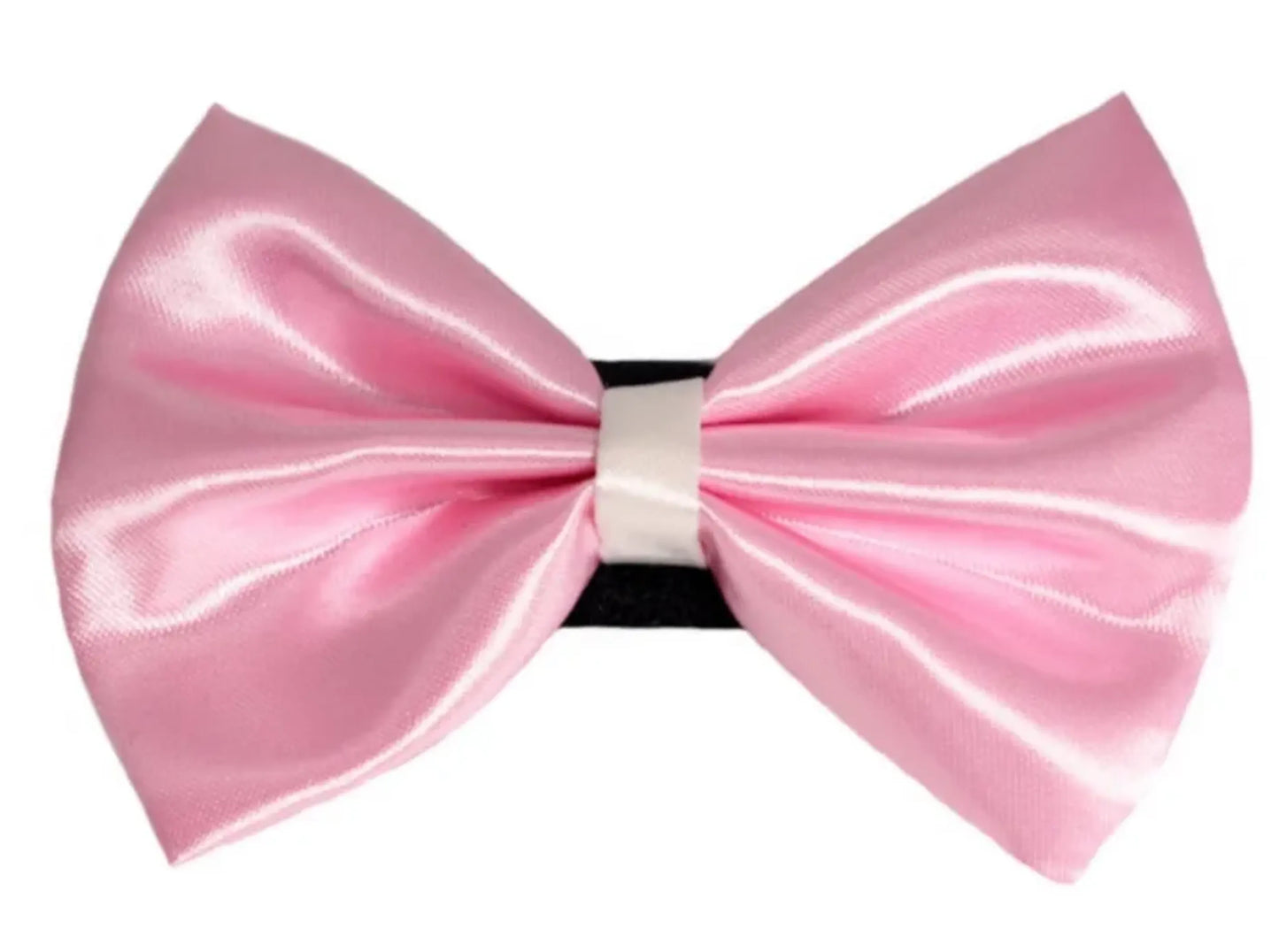PR3001|Pets Ribbons - Your Pet Connection
