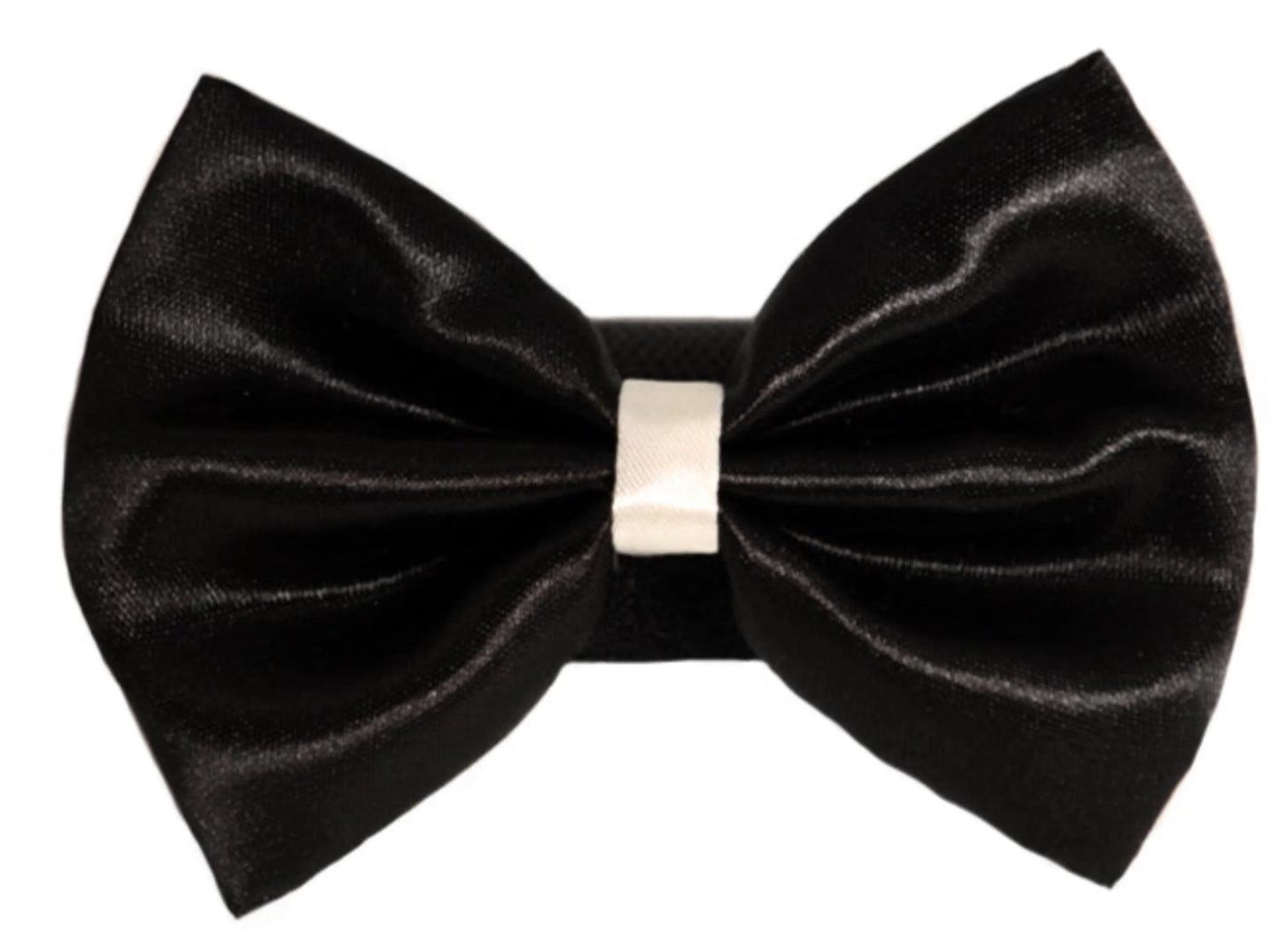 PR3001|Pets Ribbons - Your Pet Connection