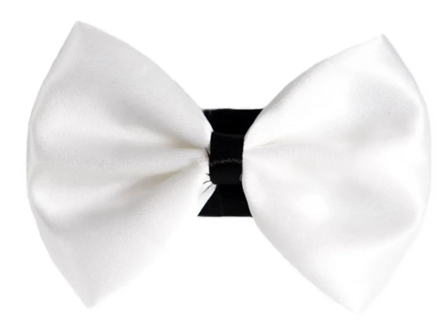 PR3001|Pets Ribbons - Your Pet Connection