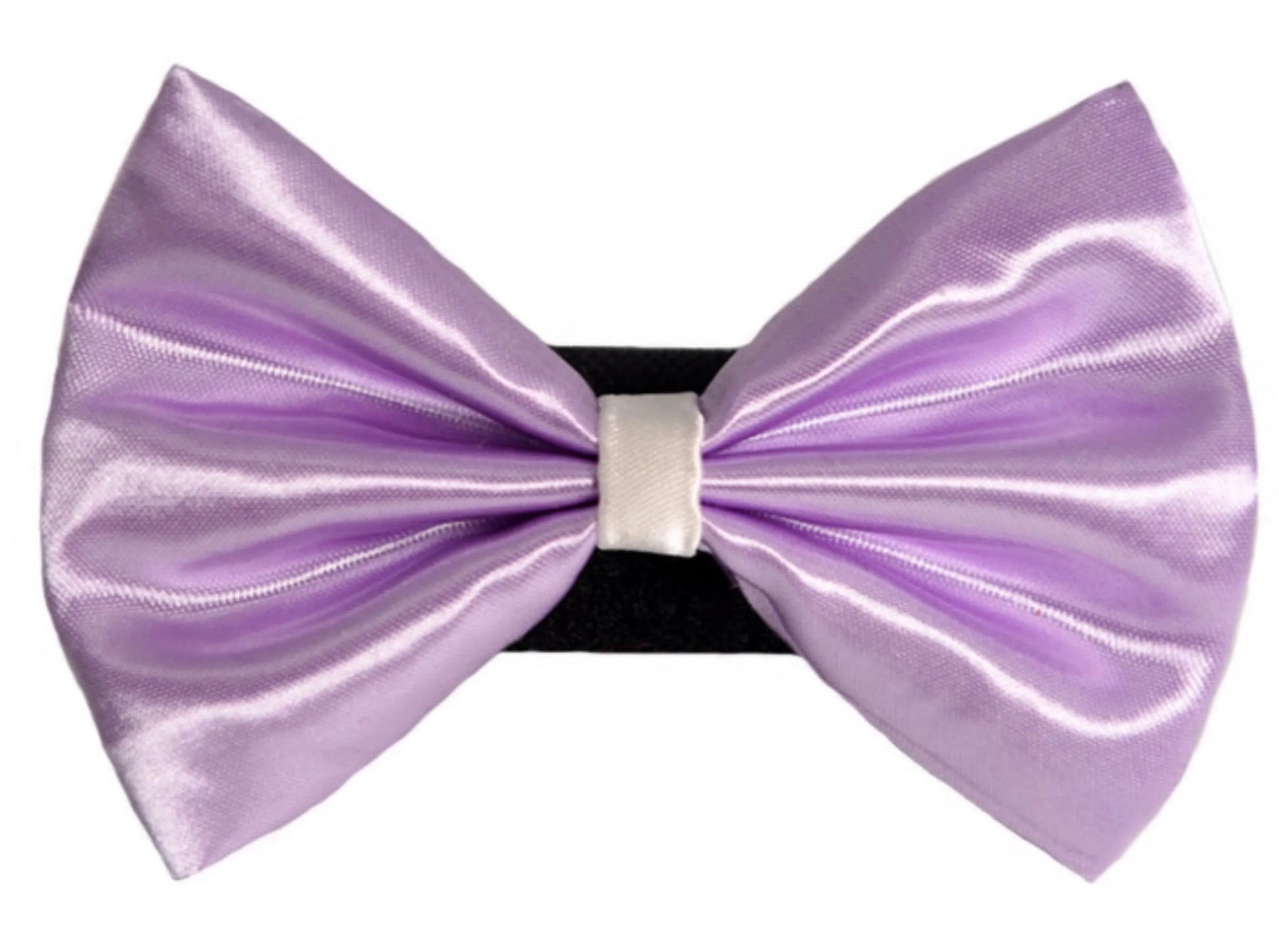 PR3001|Pets Ribbons - Your Pet Connection