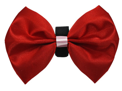 PR3001VA|Pets Ribbons - Your Pet Connection