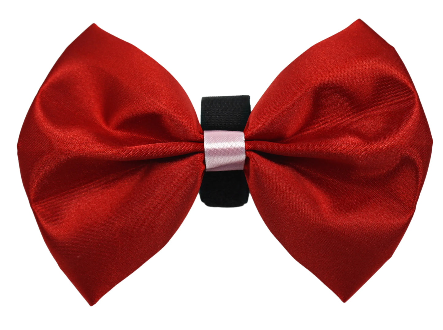 PR3001VA|Pets Ribbons - Your Pet Connection