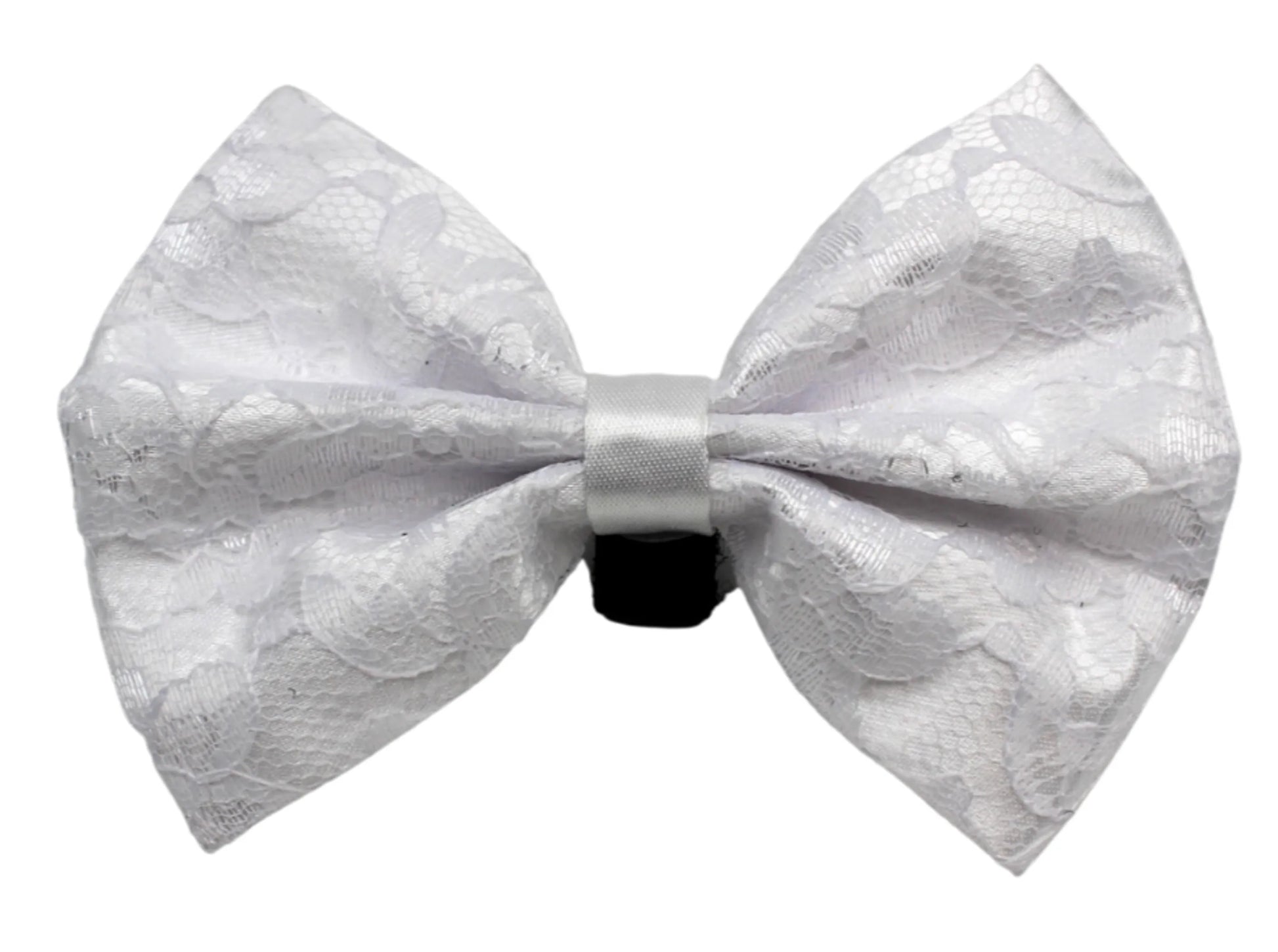 PR3002|Pets Ribbons - Your Pet Connection