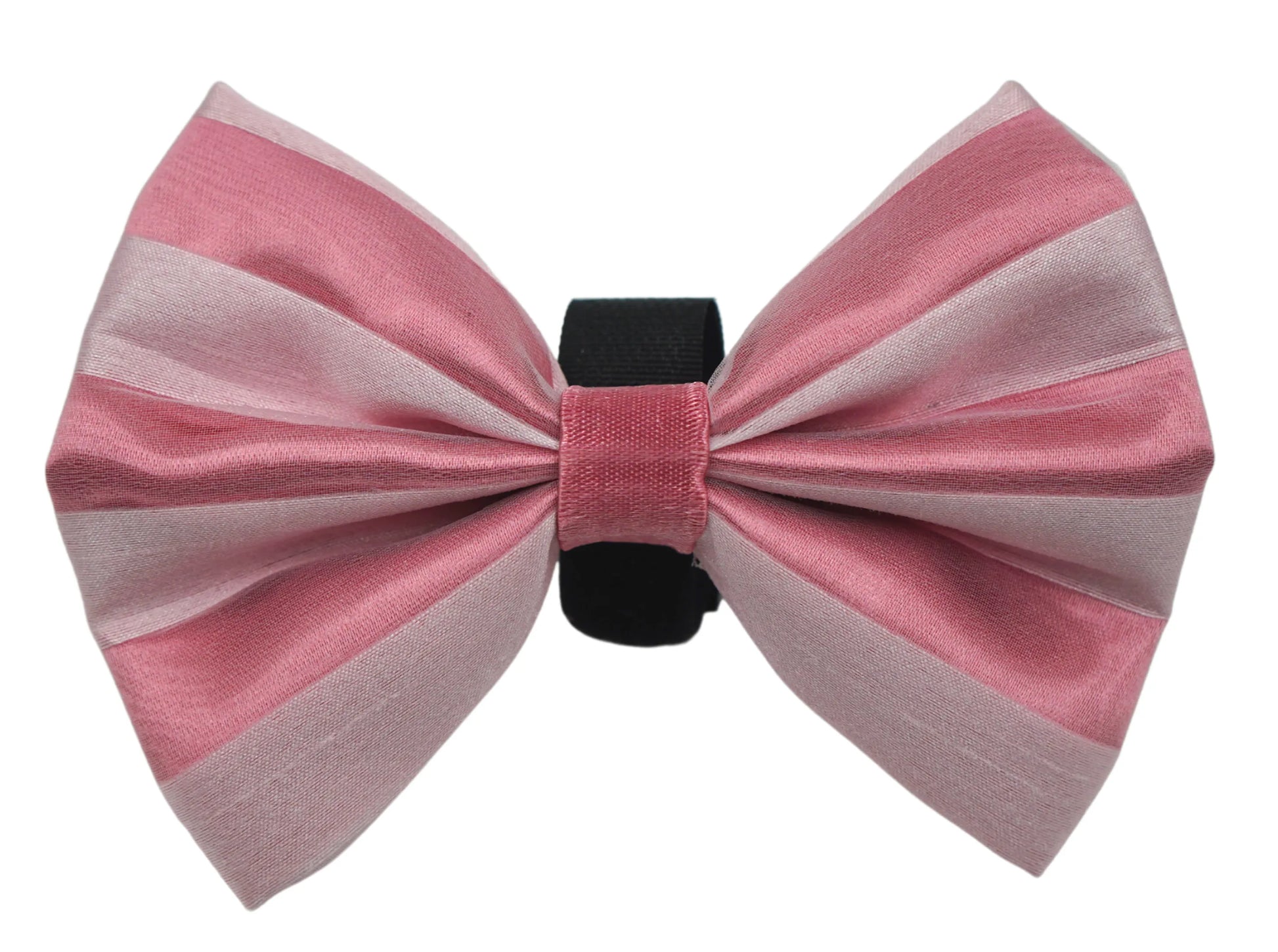 PR3006VA|Pets Ribbons - Your Pet Connection