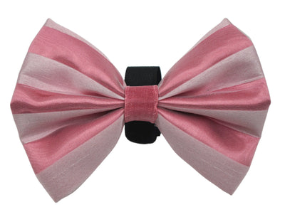 PR3006VA|Pets Ribbons - Your Pet Connection