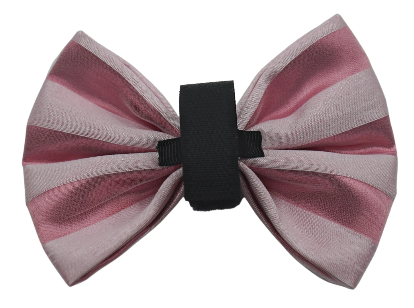PR3006VA|Pets Ribbons - Your Pet Connection