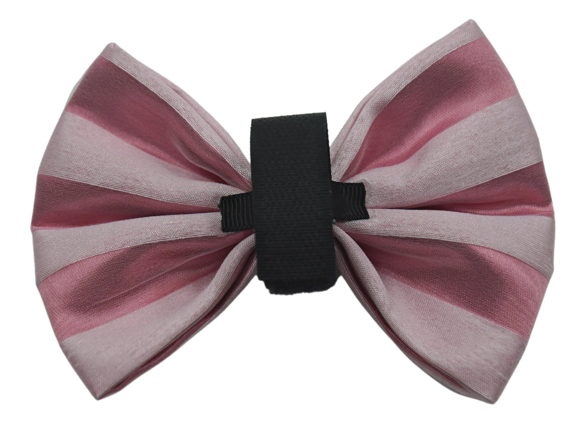 PR3006VA|Pets Ribbons - Your Pet Connection