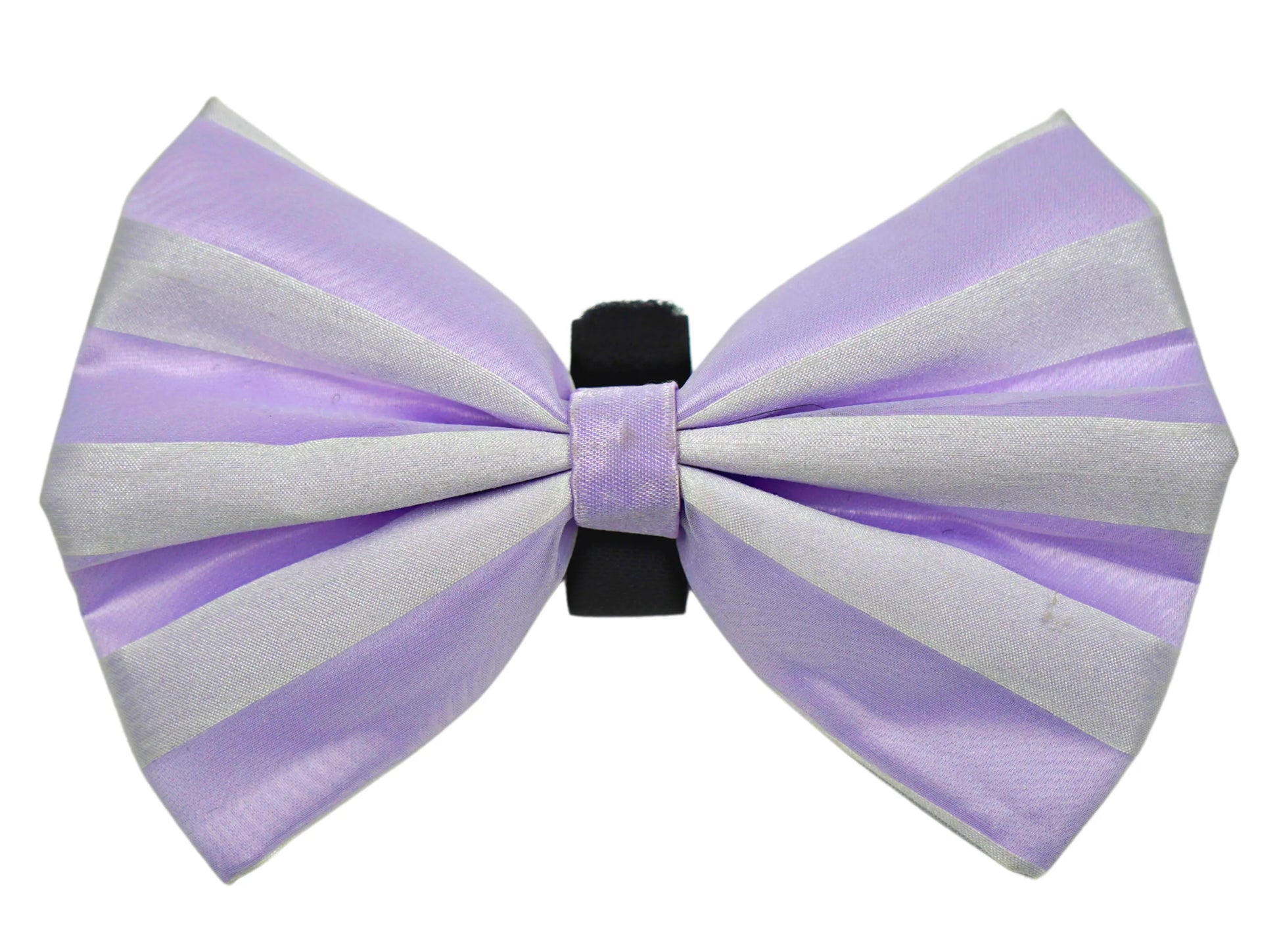 PR3006VA|Pets Ribbons - Your Pet Connection