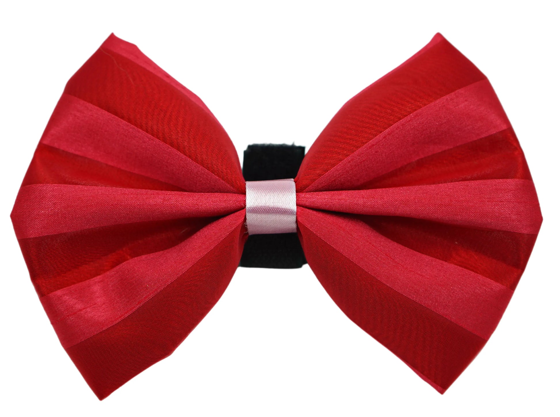 PR3006VA|Pets Ribbons - Your Pet Connection
