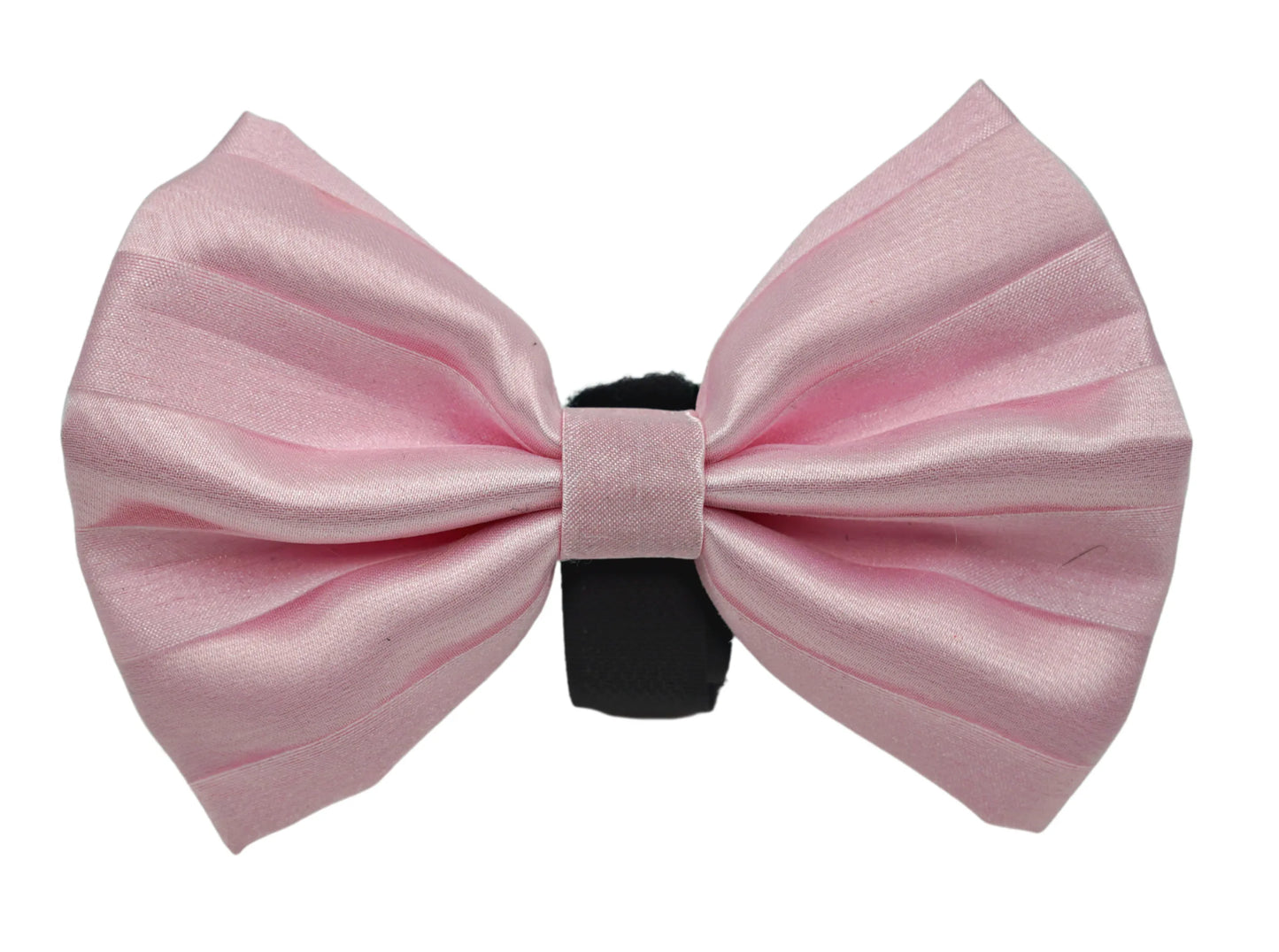 PR3006VA|Pets Ribbons - Your Pet Connection