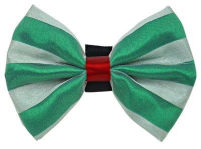 PR3006X|Pets Ribbons - Your Pet Connection